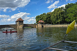 Palmenwehr